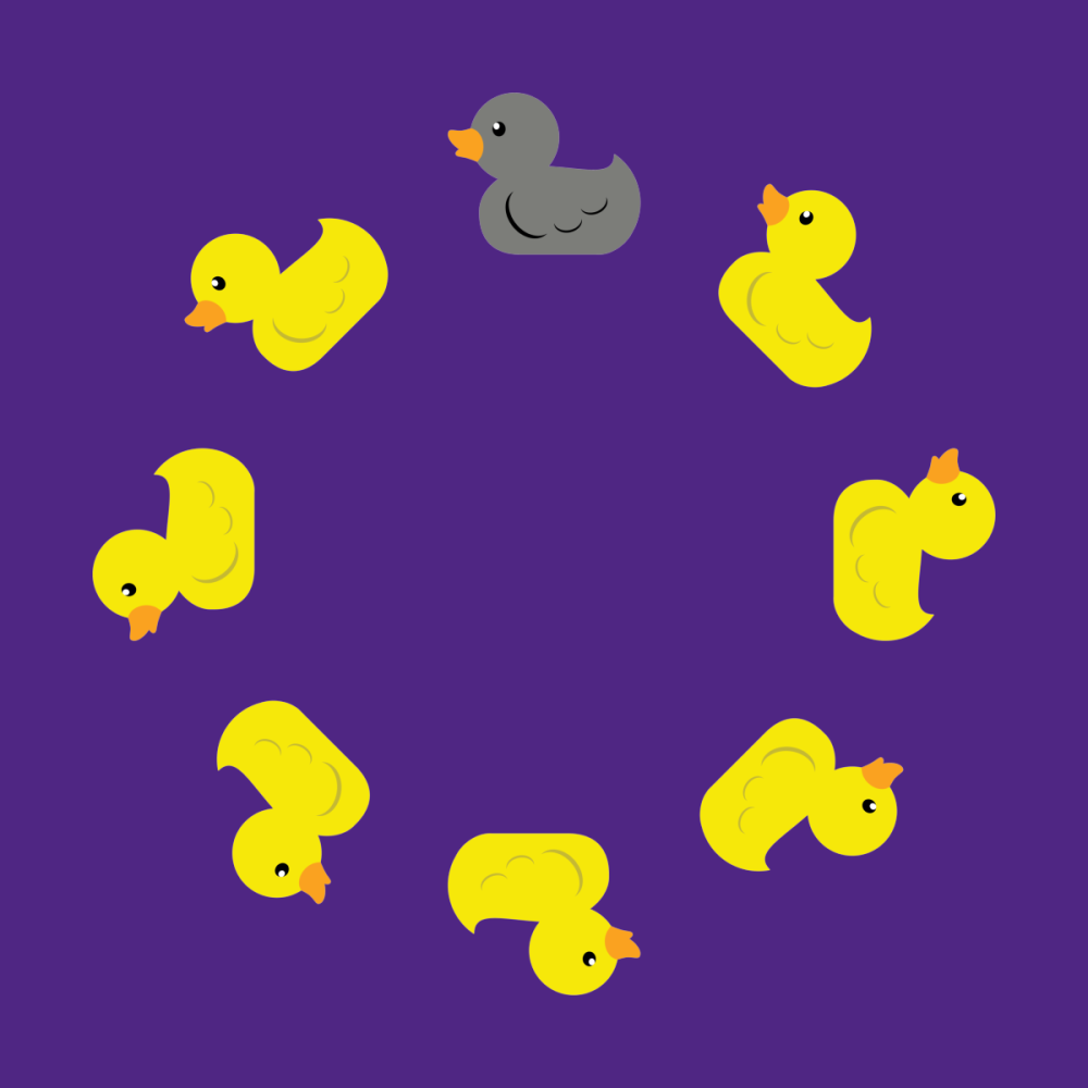 Duck, Duck, Grey Duck